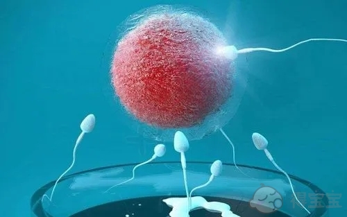 胚胎培养成功后多久移植 有哪些注意事项