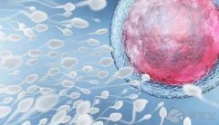 <strong>南通借腹生子微信群-胚胎移植后出现胀气腹水，是否会影响胚胎的植入？</strong>